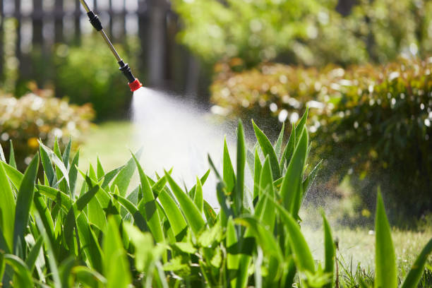 Tamper-Resistant Bait Stations for Rodents in Fairbank