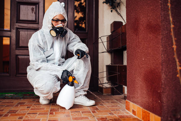 Attic and Crawl Space Rodent Treatment in Fairbank