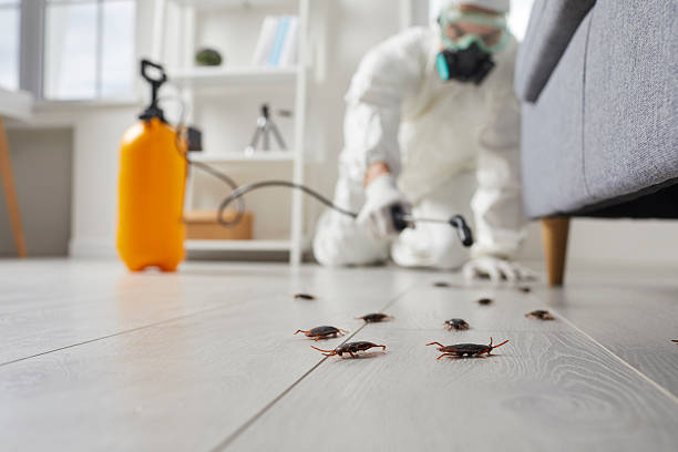 Commercial Rodent Management in Fairbank